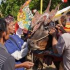 Persiapan pertunjukan Sapi Gerumbungan dalam ajang Lovina Festival 2023. (ist)