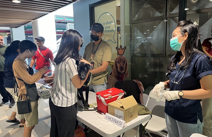 Puluhan pawrents dan anak-anak bulu kesayangannya terlihat antusias mengikuti acara vaksinasi gratis Pet Kingdom Living World Denpasar, Minggu 15 September 2024.